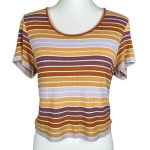 American Eagle Outfitters large multicolored striped crop top